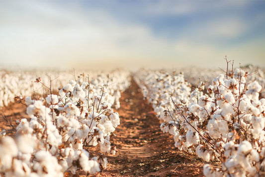 5 Reasons Why Organic Cotton Pads Really Make a Difference